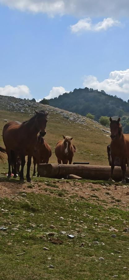 Na Krovu Svijeta Gornji Lukomir Bagian luar foto